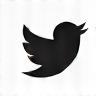 X (formerly Twitter) icon